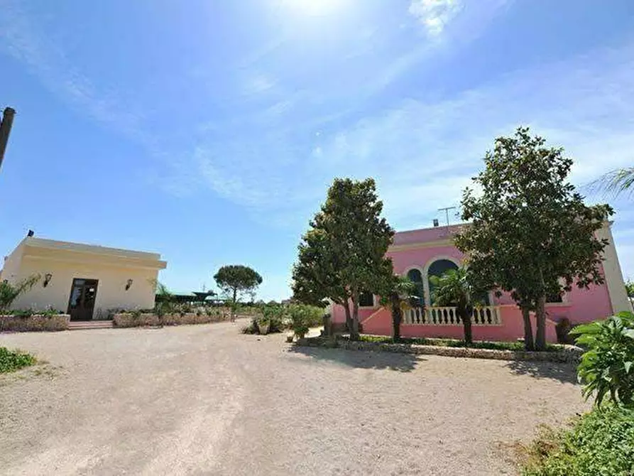Immagine 15 di Azienda agricola in vendita  in STRADA ESTERNA LECCE SP 16 COPERTINO-SANPIETRO IN LAMA a Copertino