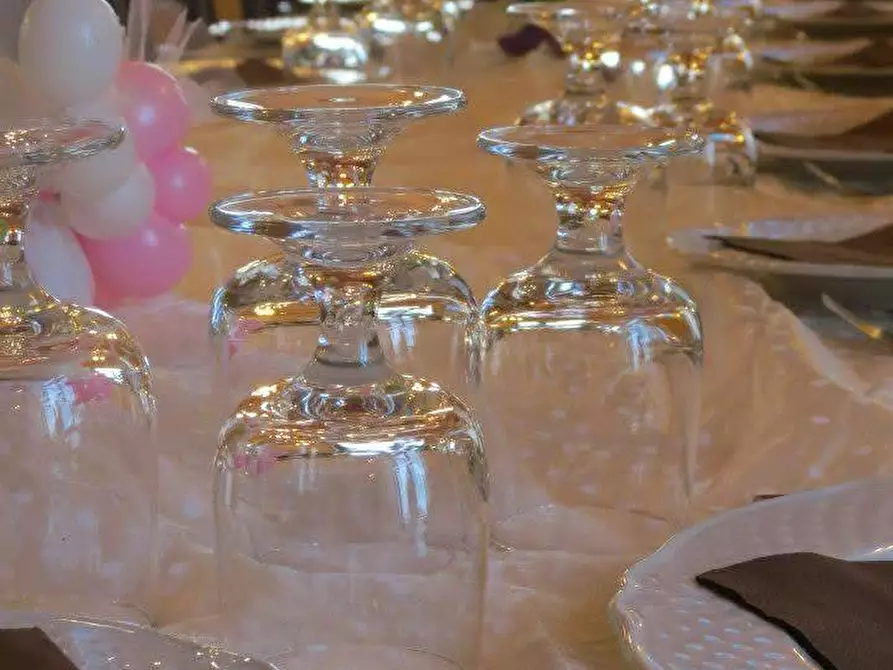 Immagine 17 di Azienda agricola in vendita  in STRADA ESTERNA LECCE SP 16 COPERTINO-SANPIETRO IN LAMA a Copertino