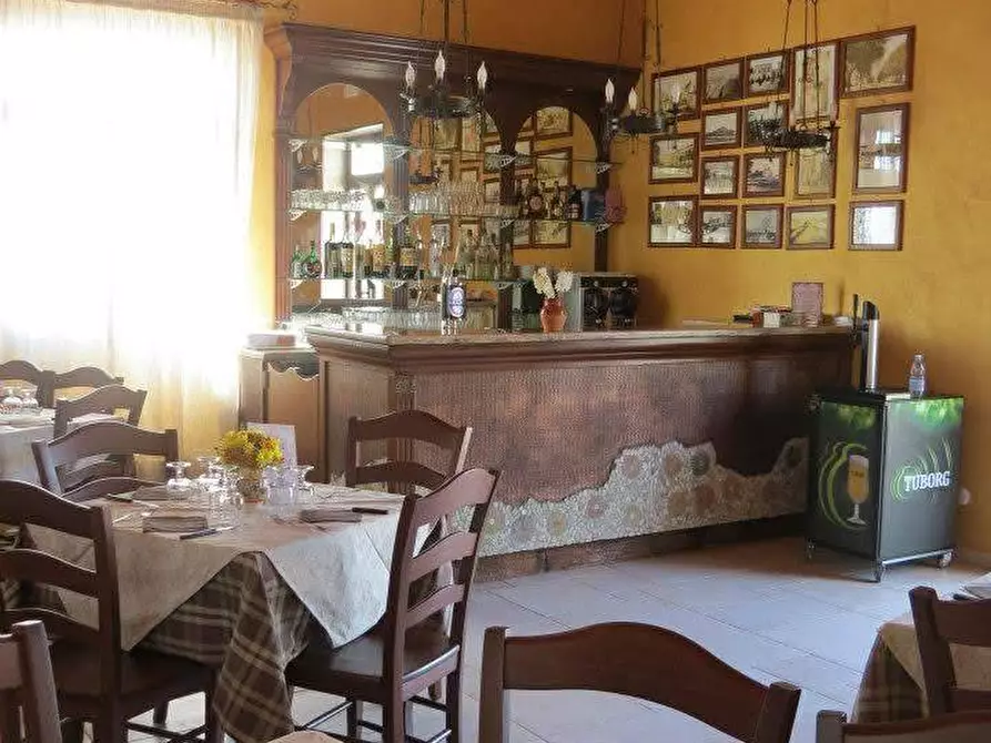 Immagine 19 di Azienda agricola in vendita  in STRADA ESTERNA LECCE SP 16 COPERTINO-SANPIETRO IN LAMA a Copertino