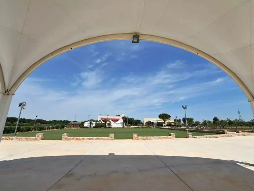 Immagine 20 di Azienda agricola in vendita  in STRADA ESTERNA LECCE SP 16 COPERTINO-SANPIETRO IN LAMA a Copertino