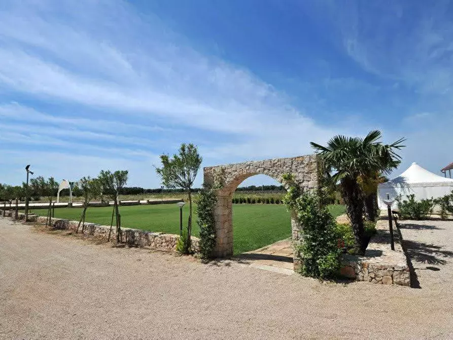 Immagine 21 di Azienda agricola in vendita  in STRADA ESTERNA LECCE SP 16 COPERTINO-SANPIETRO IN LAMA a Copertino