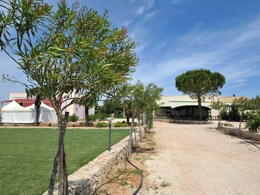 Immagine 22 di Azienda agricola in vendita  in STRADA ESTERNA LECCE SP 16 COPERTINO-SANPIETRO IN LAMA a Copertino
