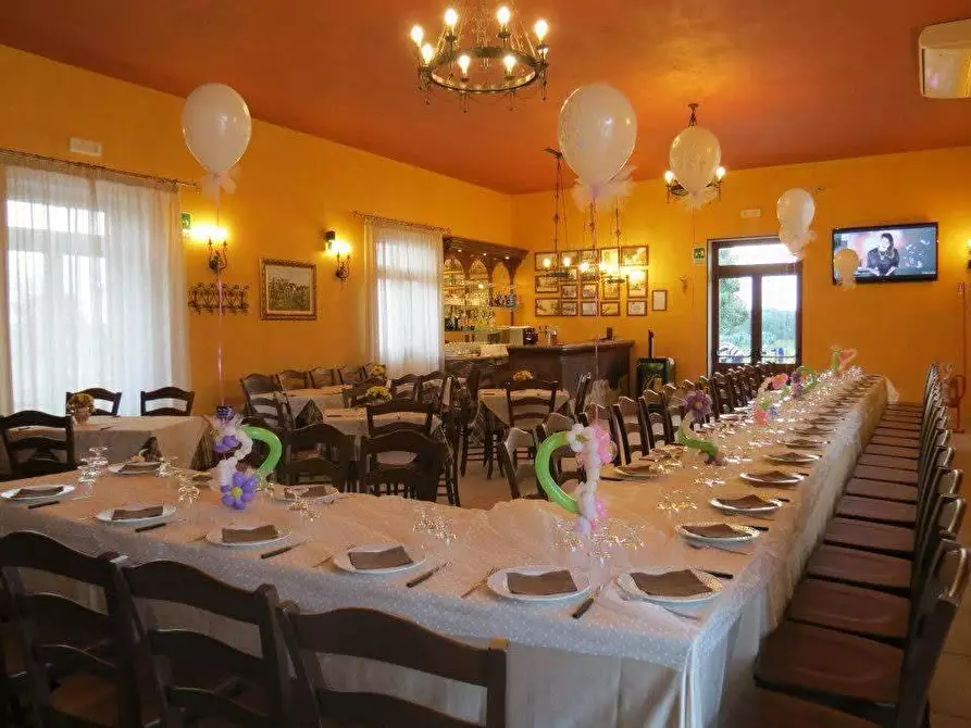 Immagine 23 di Azienda agricola in vendita  in STRADA ESTERNA LECCE SP 16 COPERTINO-SANPIETRO IN LAMA a Copertino