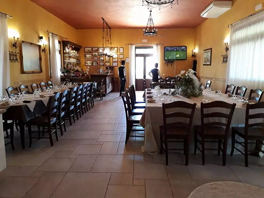 Immagine 24 di Azienda agricola in vendita  in STRADA ESTERNA LECCE SP 16 COPERTINO-SANPIETRO IN LAMA a Copertino