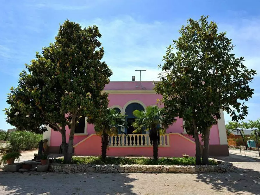 Immagine 1 di Azienda agricola in vendita  in STRADA ESTERNA LECCE SP 16 COPERTINO-SANPIETRO IN LAMA a Copertino