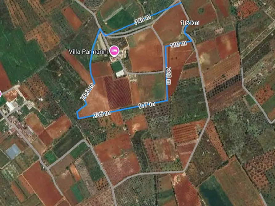 Immagine 25 di Azienda agricola in vendita  in STRADA ESTERNA LECCE SP 16 COPERTINO-SANPIETRO IN LAMA a Copertino