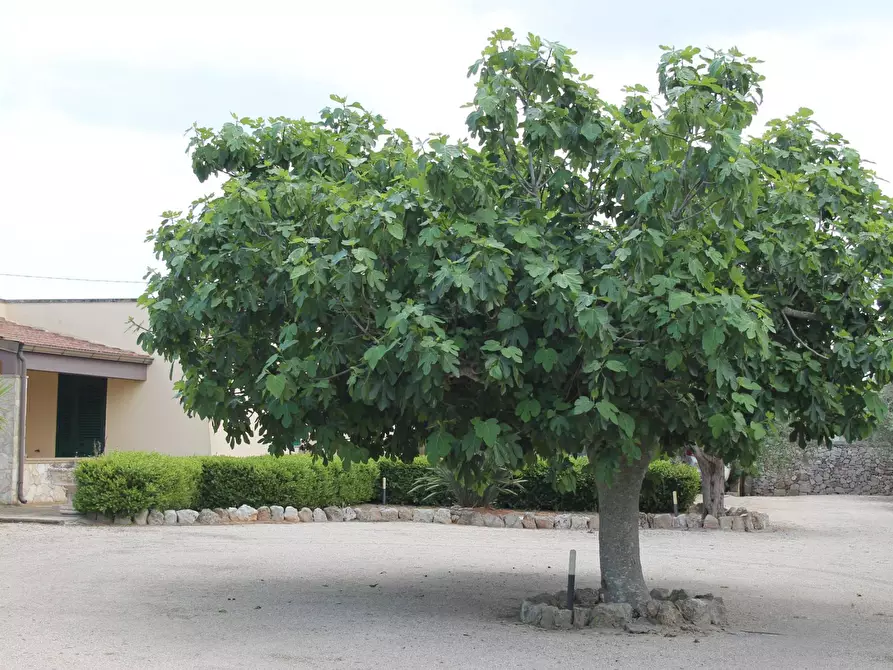 Immagine 1 di Villa in vendita  in via per castrignano 1 a Corigliano D'otranto