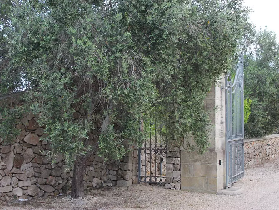 Immagine 5 di Villa in vendita  in via per castrignano 1 a Corigliano D'otranto