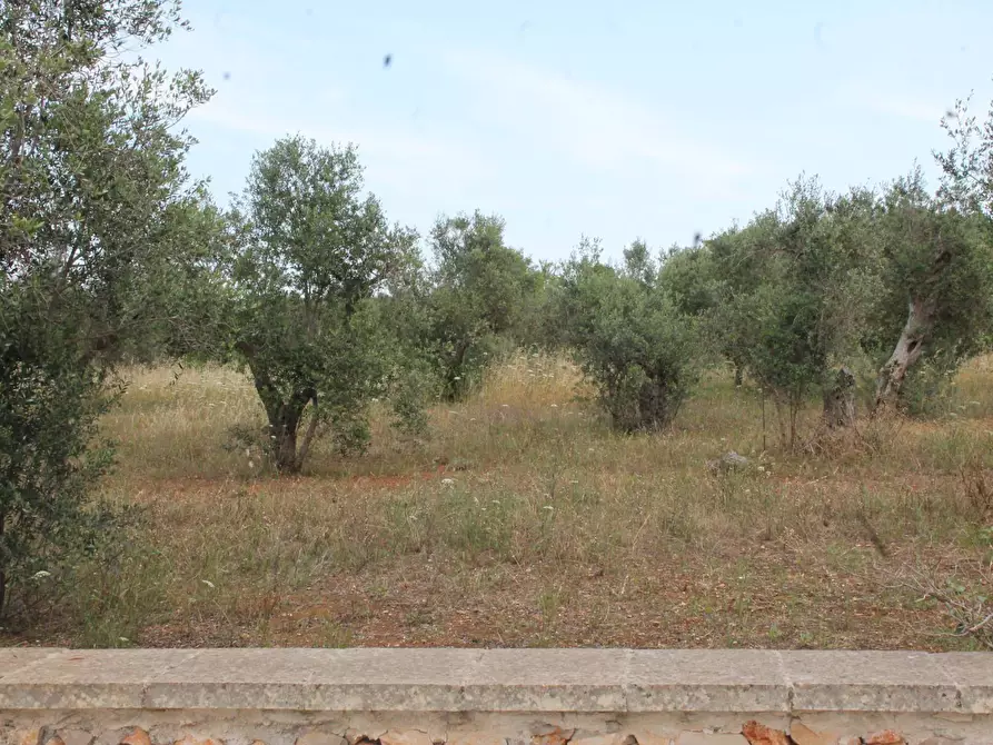 Immagine 6 di Villa in vendita  in via per castrignano 1 a Corigliano D'otranto