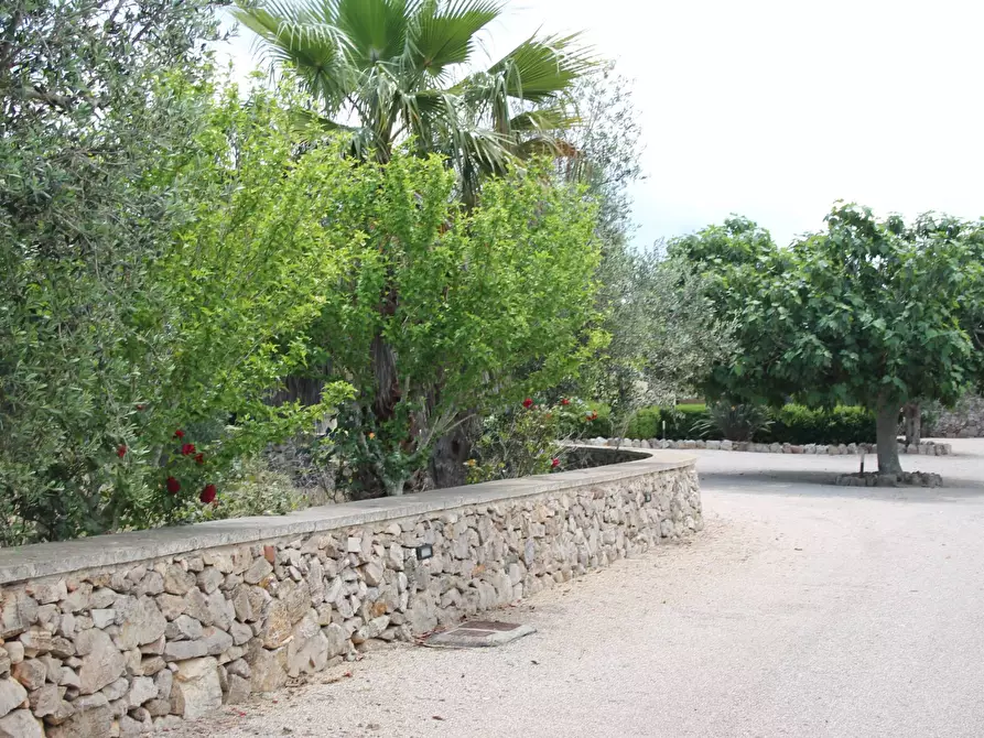 Immagine 7 di Villa in vendita  in via per castrignano 1 a Corigliano D'otranto