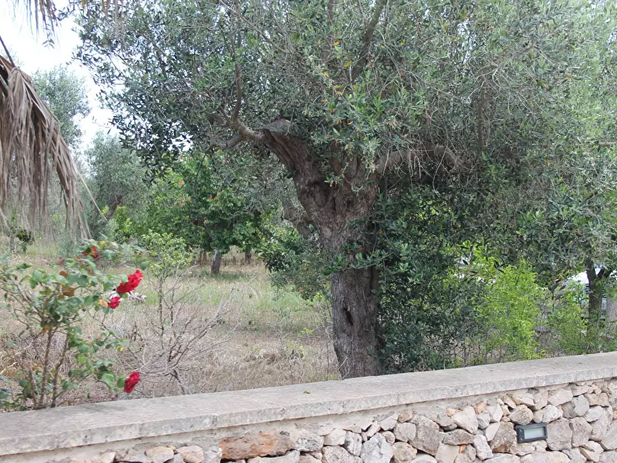 Immagine 8 di Villa in vendita  in via per castrignano 1 a Corigliano D'otranto