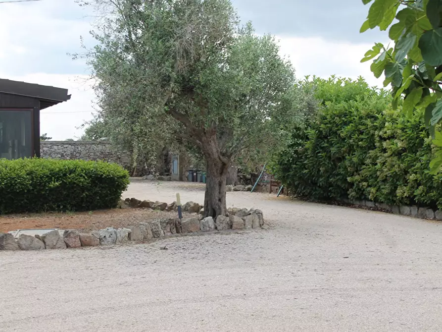 Immagine 11 di Villa in vendita  in via per castrignano 1 a Corigliano D'otranto