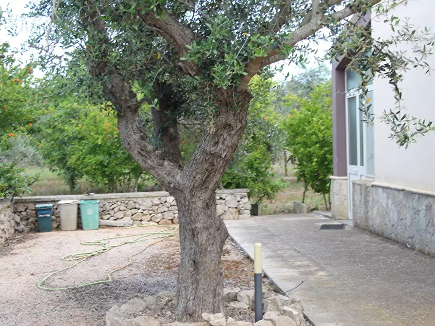 Immagine 14 di Villa in vendita  in via per castrignano 1 a Corigliano D'otranto