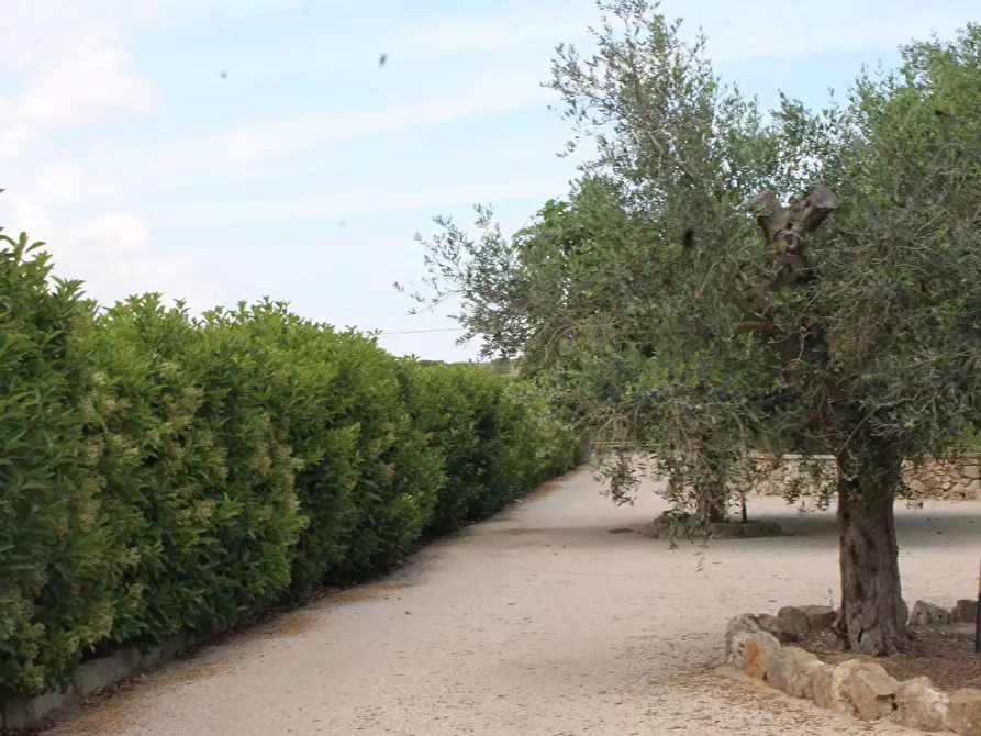 Immagine 18 di Villa in vendita  in via per castrignano 1 a Corigliano D'otranto