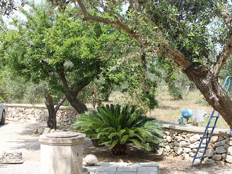 Immagine 26 di Villa in vendita  in via per castrignano 1 a Corigliano D'otranto