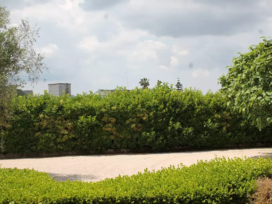 Immagine 27 di Villa in vendita  in via per castrignano 1 a Corigliano D'otranto