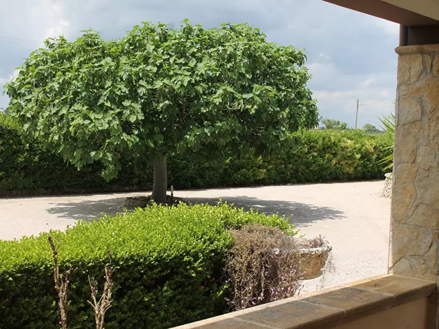 Immagine 28 di Villa in vendita  in via per castrignano 1 a Corigliano D'otranto