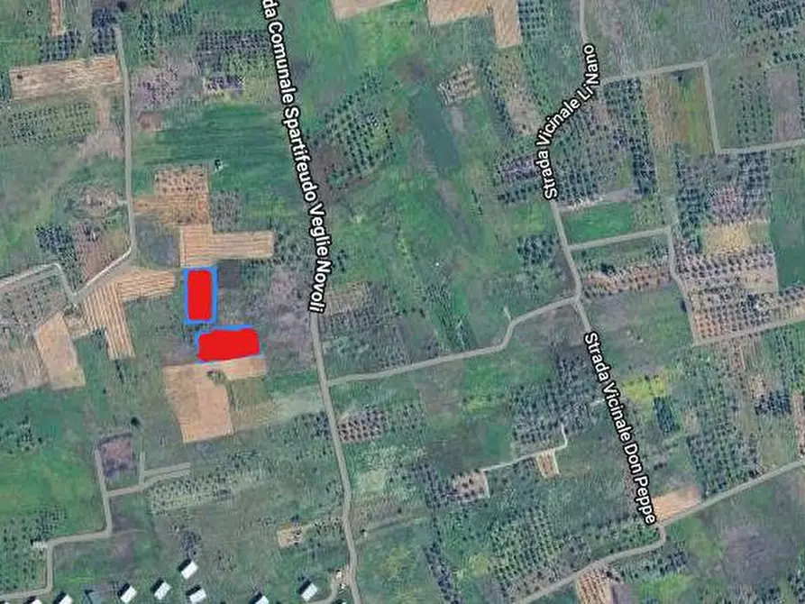 Immagine 2 di Terreno agricolo in vendita  in veglie a Veglie