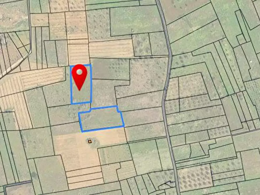 Immagine 3 di Terreno agricolo in vendita  in veglie a Veglie