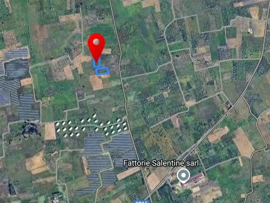 Immagine 1 di Terreno agricolo in vendita  in veglie a Veglie