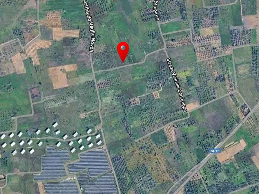 Immagine 3 di Terreno agricolo in vendita  a Novoli