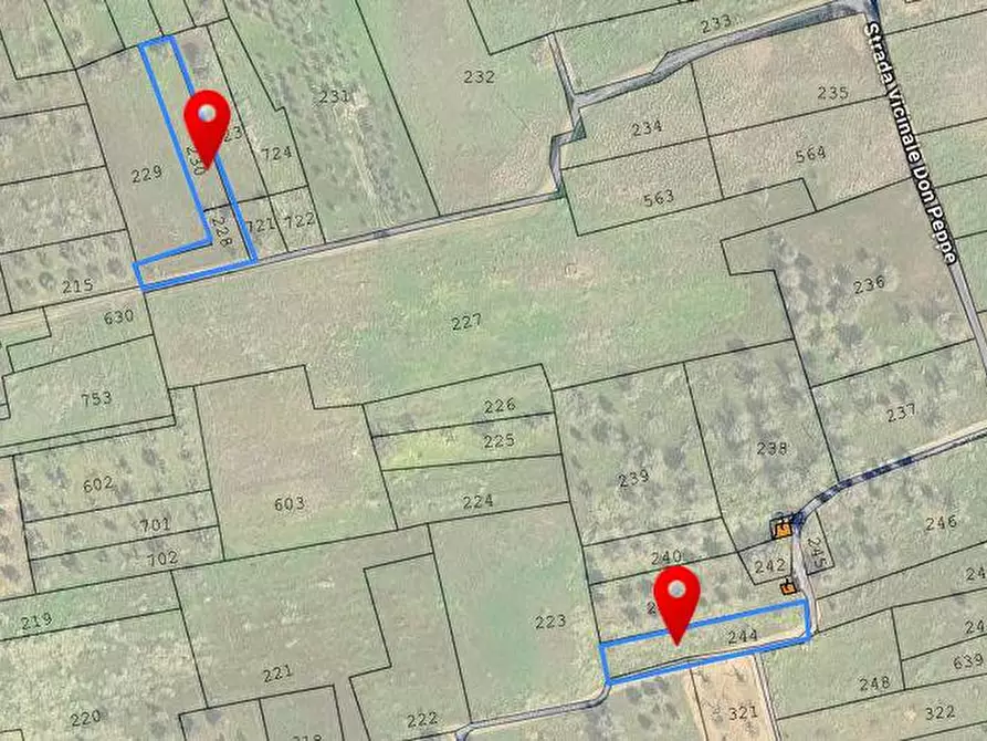Immagine 4 di Terreno agricolo in vendita  a Novoli