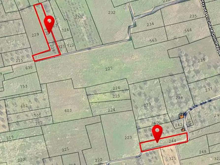 Immagine 2 di Terreno agricolo in vendita  a Novoli