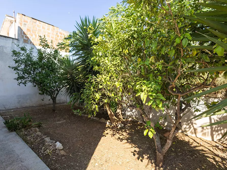 Immagine 16 di Appartamento in vendita  in VIA DELLA TROTA a Torchiarolo