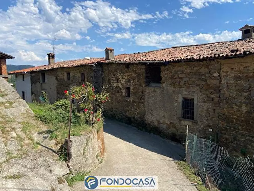 Immagine 3 di Rustico / casale in vendita  snc a Adrara San Martino