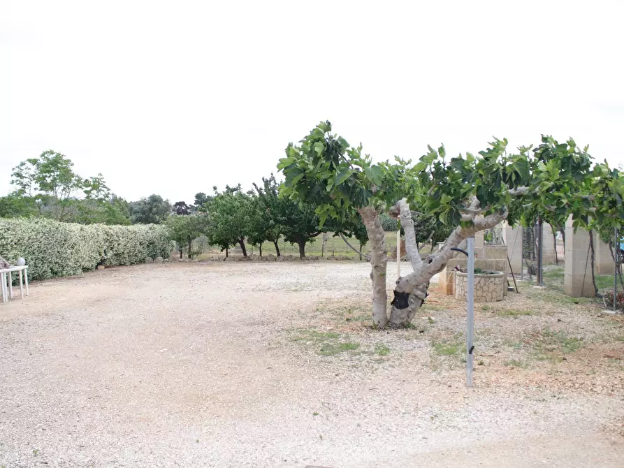 Immagine 29 di Villa in vendita  in via otranto 26 a Grottaglie