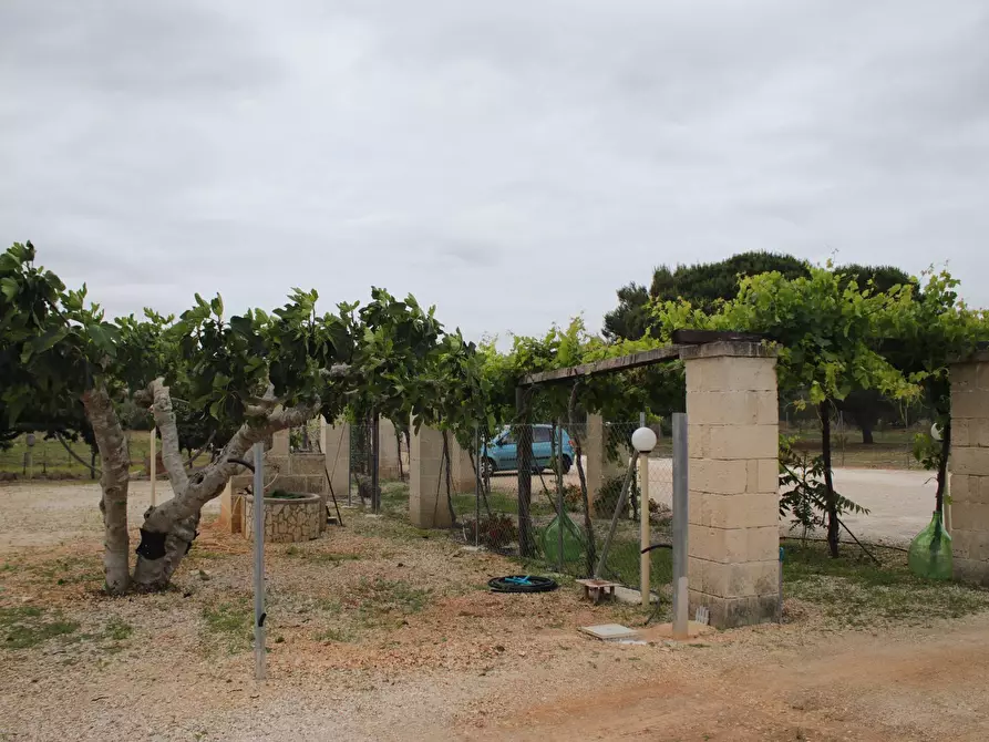 Immagine 30 di Villa in vendita  in via otranto 26 a Grottaglie