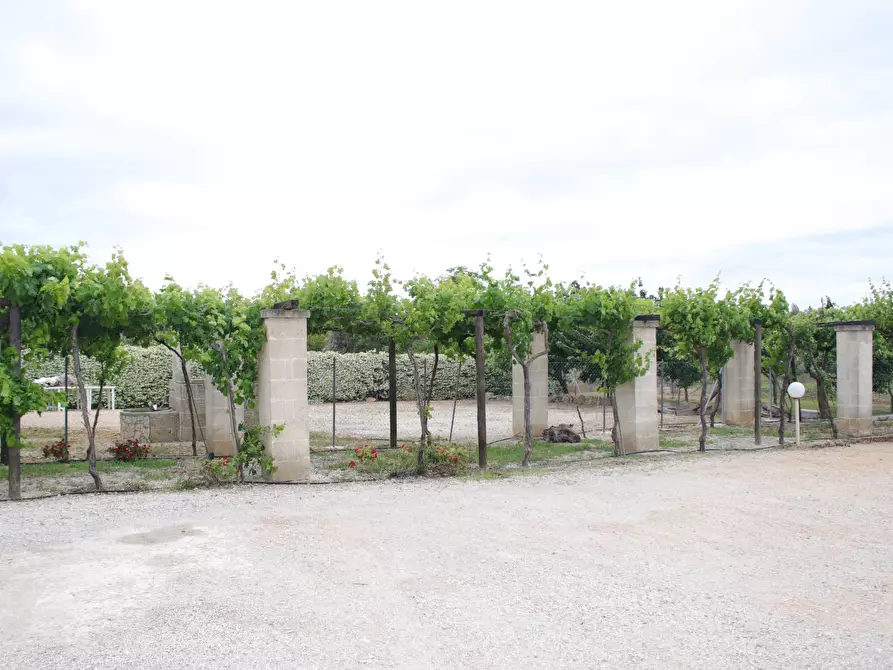 Immagine 36 di Villa in vendita  in via otranto 26 a Grottaglie