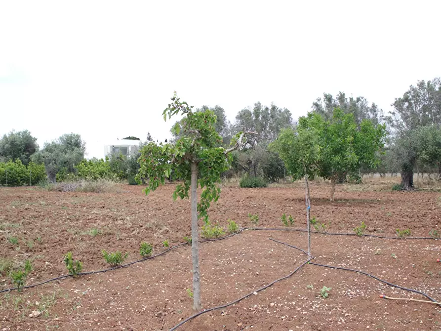 Immagine 78 di Villa in vendita  in via otranto 26 a Grottaglie