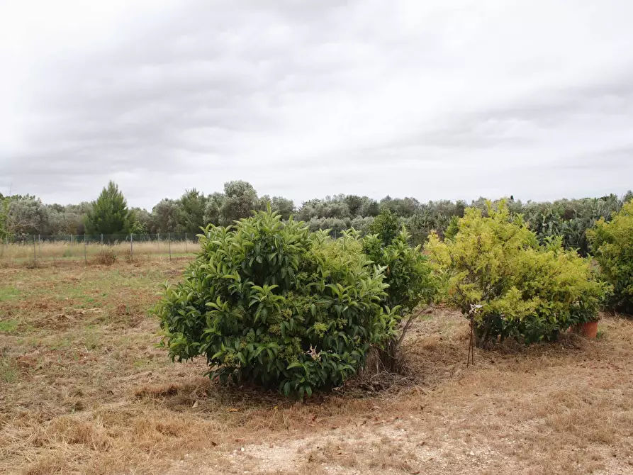 Immagine 79 di Villa in vendita  in via otranto 26 a Grottaglie