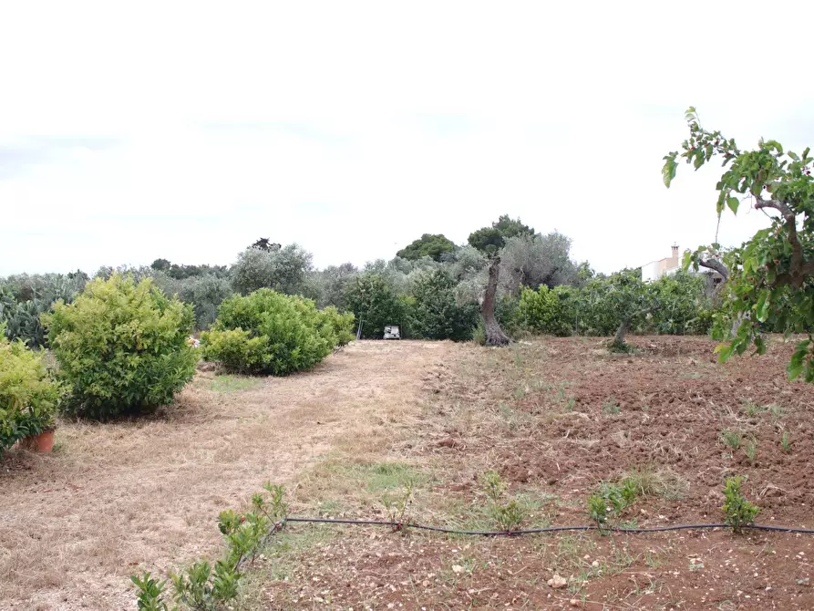Immagine 80 di Villa in vendita  in via otranto 26 a Grottaglie