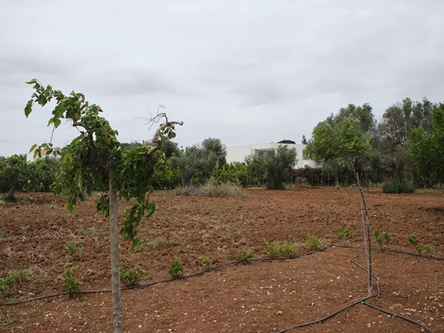 Immagine 81 di Villa in vendita  in via otranto 26 a Grottaglie