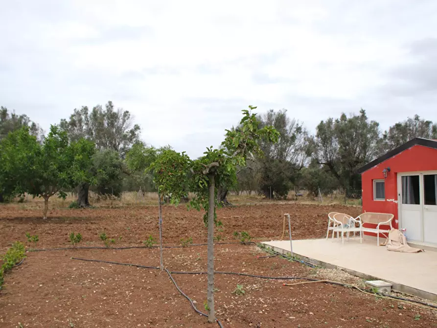 Immagine 85 di Villa in vendita  in via otranto 26 a Grottaglie