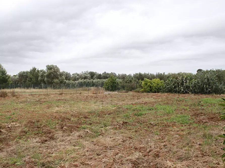 Immagine 87 di Villa in vendita  in via otranto 26 a Grottaglie