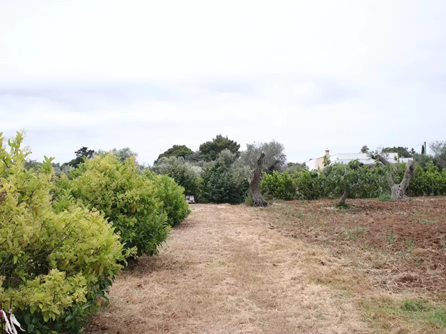 Immagine 88 di Villa in vendita  in via otranto 26 a Grottaglie
