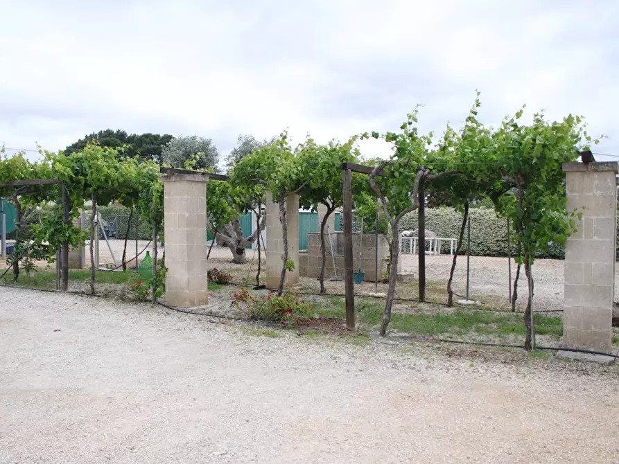 Immagine 93 di Villa in vendita  in via otranto 26 a Grottaglie