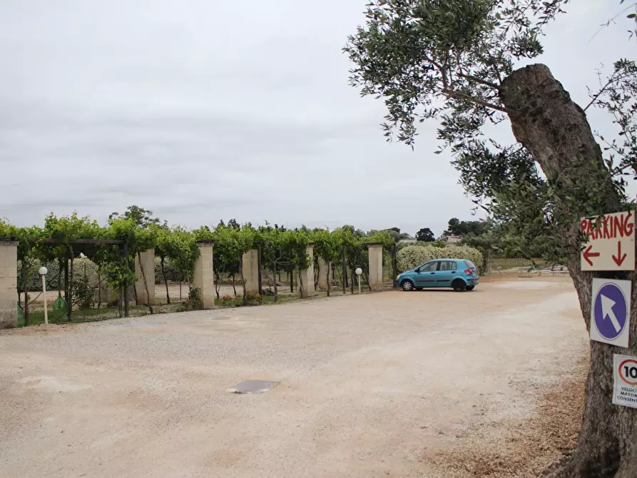 Immagine 95 di Villa in vendita  in via otranto 26 a Grottaglie