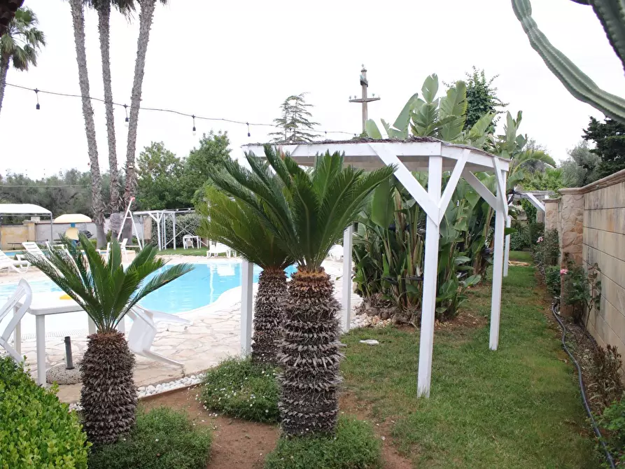 Immagine 18 di Villa in vendita  in via otranto 26 a Grottaglie