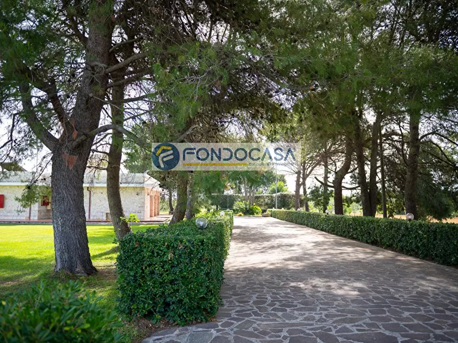 Immagine 3 di Villa in vendita  in Contrada Chiani a Oria