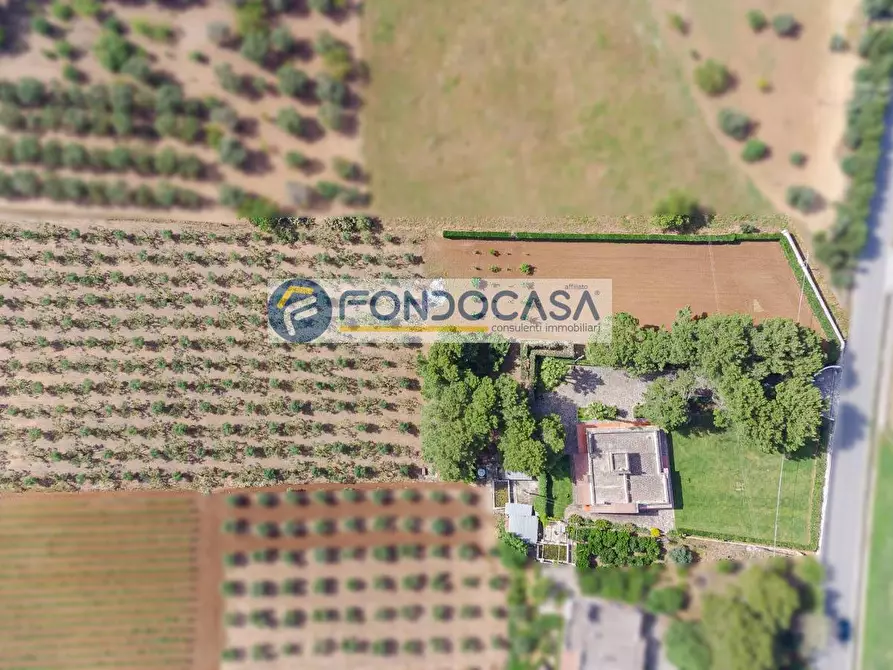 Immagine 22 di Villa in vendita  in Contrada Chiani a Oria