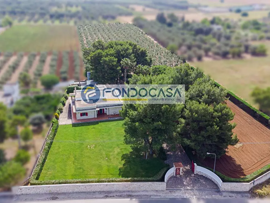 Immagine 23 di Villa in vendita  in Contrada Chiani a Oria