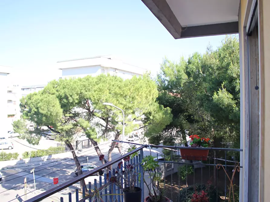 Immagine 23 di Villa in vendita  in via giordano 21 a San Giorgio Ionico