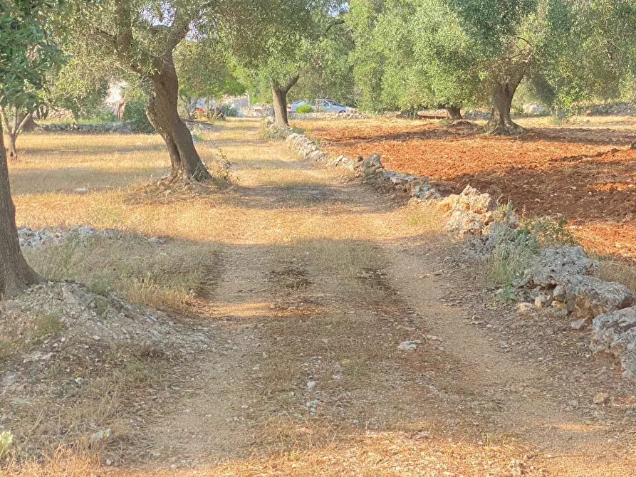 Immagine 2 di Rustico / casale in vendita  in via martina franca 5555 a Grottaglie