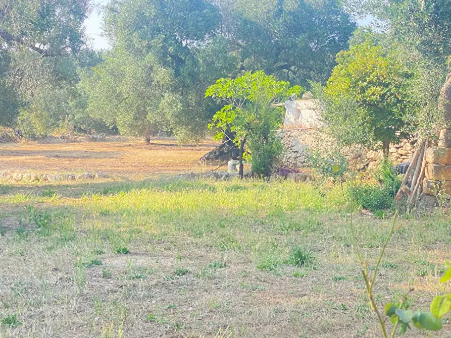 Immagine 4 di Rustico / casale in vendita  in via martina franca 5555 a Grottaglie