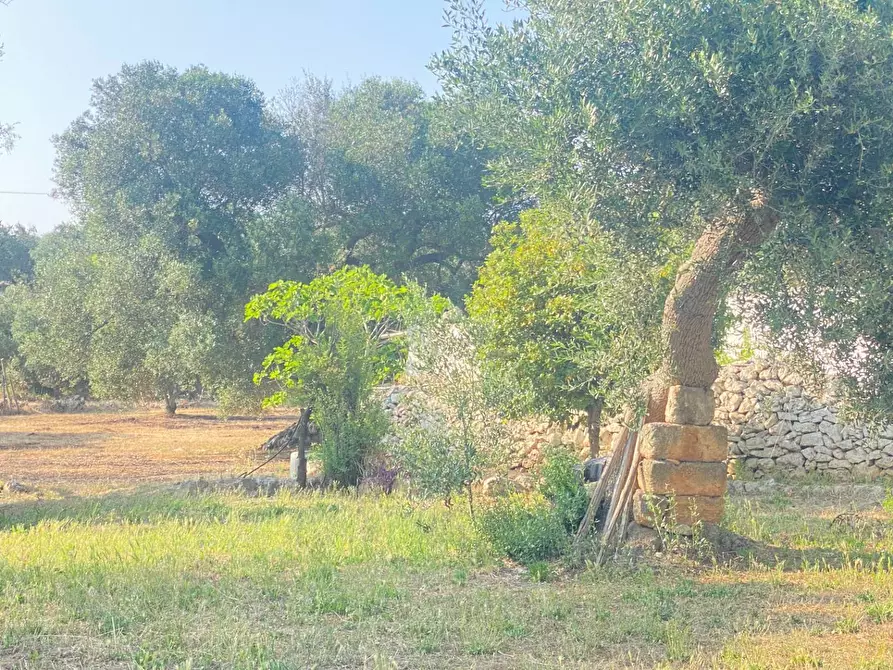 Immagine 7 di Rustico / casale in vendita  in via martina franca 5555 a Grottaglie