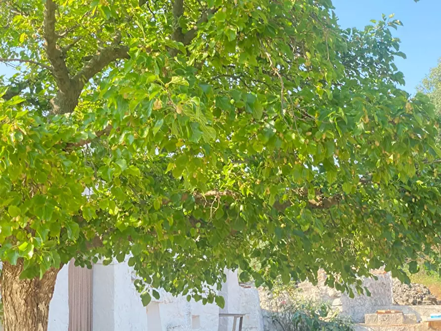 Immagine 12 di Rustico / casale in vendita  in via martina franca 5555 a Grottaglie